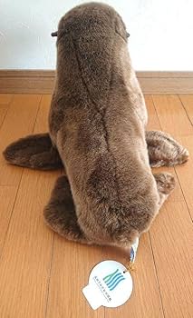 Amazon.co.jp: 仙台 うみの杜水族館 アシカ ぬいぐるみ : ペット用品